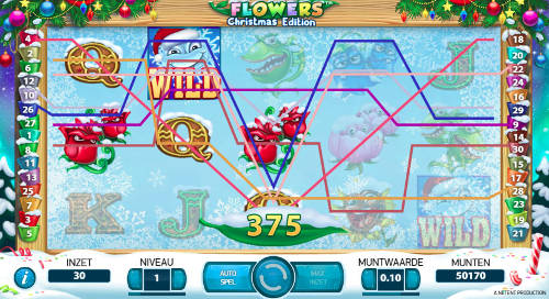 Flower Christmas Edition